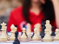 Preparing decision making