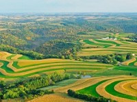 Food systems, innovations, and good&nbsp;meals